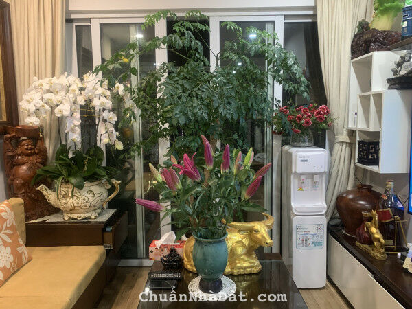 Cho thuê căn hộ Hòa Bình Green City 2 PN full đồ giá tốt nhất thị trường Cho thuê căn hộ Hòa Bình Green City 2 PN full đồ giá tốt nhất thị trường