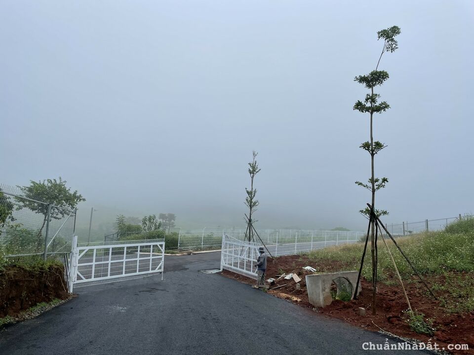 Bán đất nền sổ sẵn giá rẻ nhất thị trường 🚩  