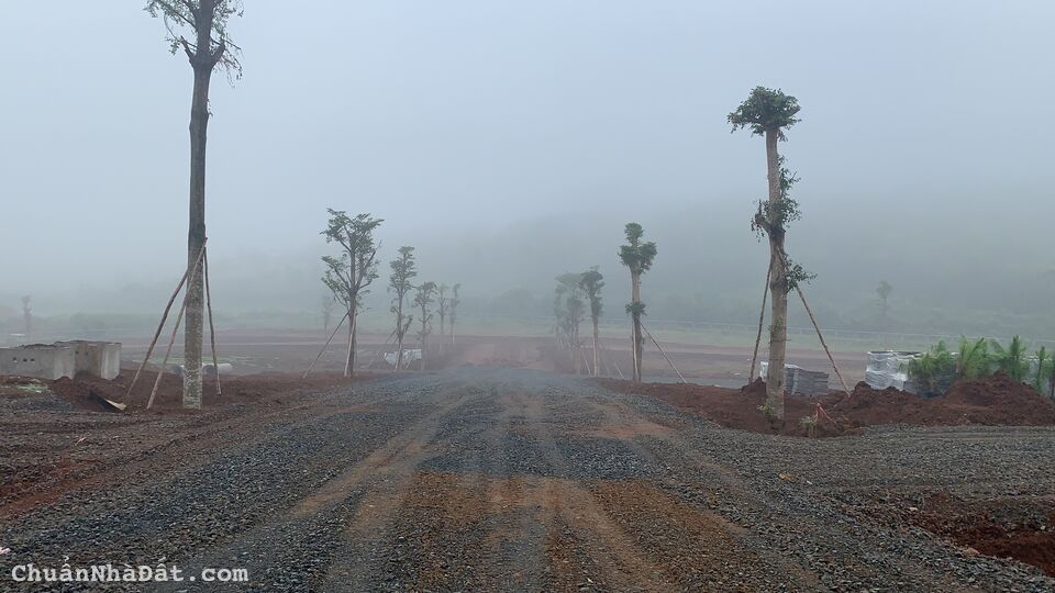 Bán đất nền sổ sẵn giá rẻ nhất thị trường 🚩  