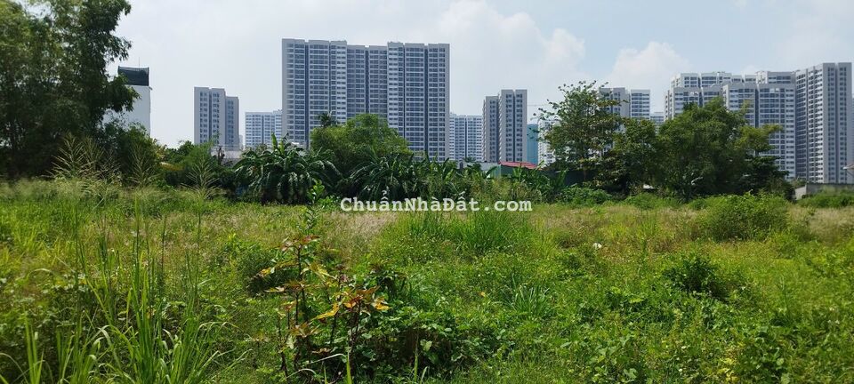 Bán 4697m2 đất phường Long Thạnh Mỹ quận 9