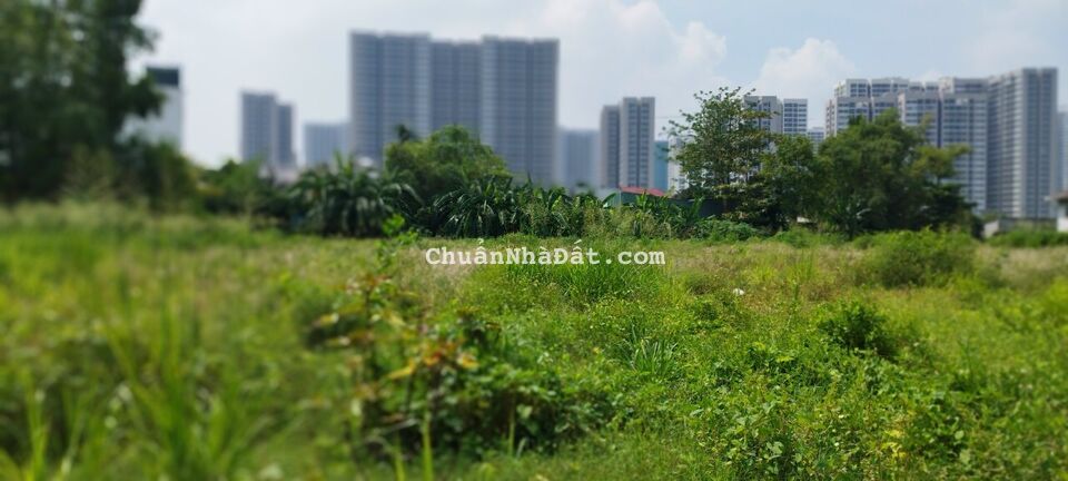 Bán 4697m2 đất phường Long Thạnh Mỹ quận 9