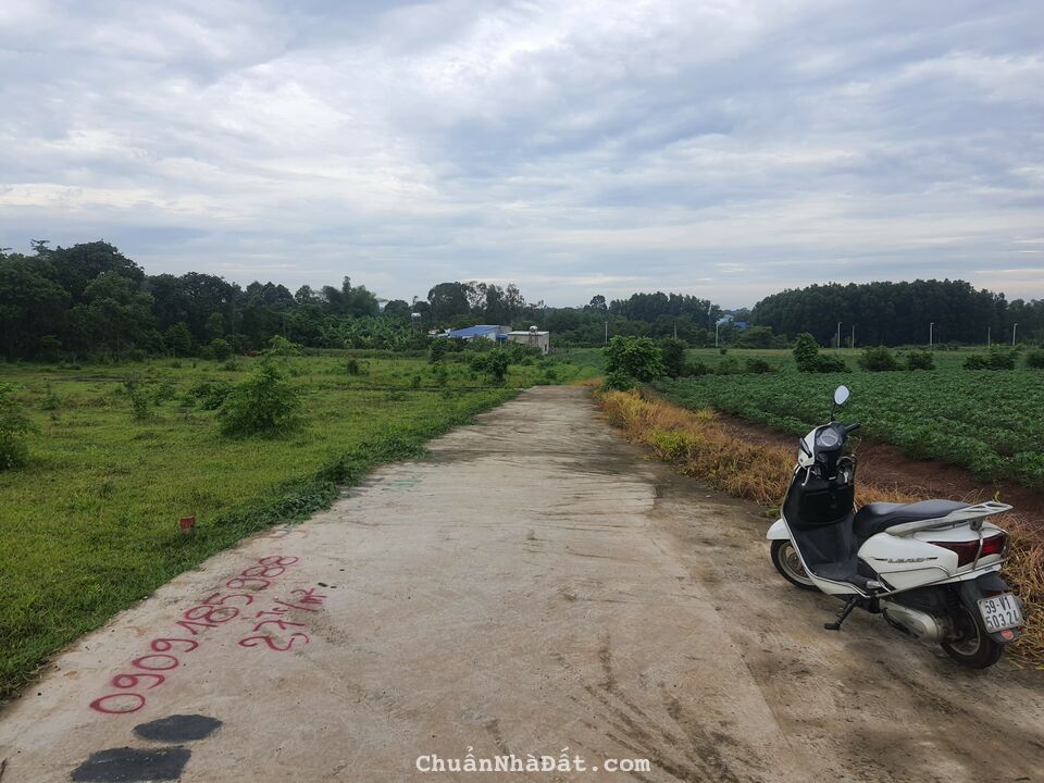 Bán đất sào Sông Xoài phù hợp xây nhà cho thuê. Bán đất sào Sông Xoài phù hợp xây nhà cho thuê.