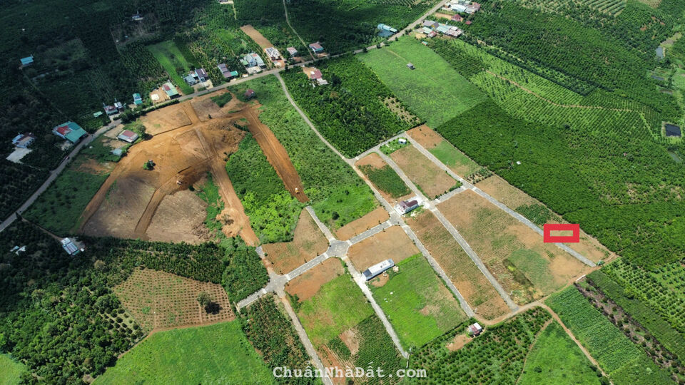 Cần bán đất thổ Lộc An Bảo Lâm Lâm Đồng sổ sẵn công chứng ngay 560tr sở hữu ngay Cần bán đất thổ Lộc An Bảo Lâm Lâm Đồng sổ sẵn công chứng ngay 560tr sở hữu ngay