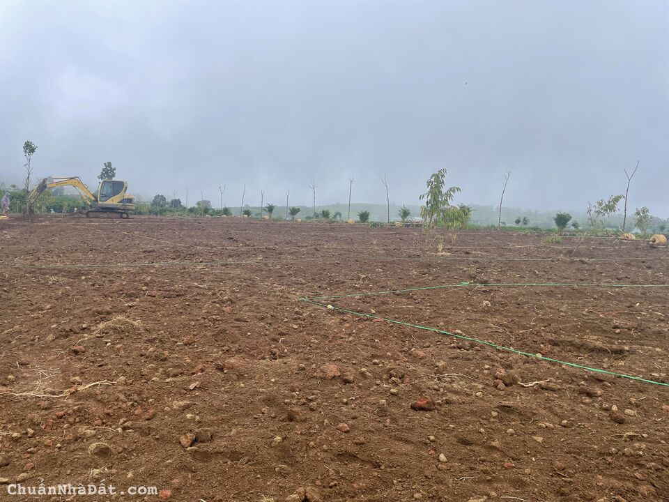 Bán đất Lộc Thanh, thôn 7 Lộc Tân, Bảo Lâm. Đã có thổ. Liên hệ 0708 503 554