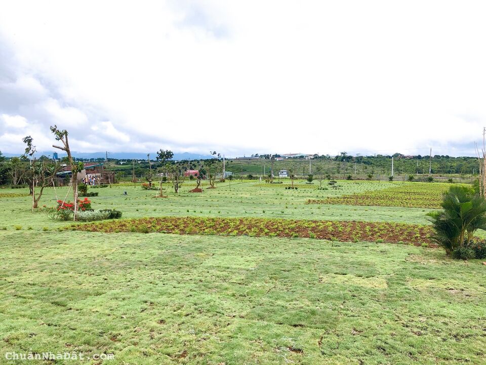 Bán đất Lộc Thanh, thôn 7 Lộc Tân, Bảo Lâm. Đã có thổ. Liên hệ 0708 503 554