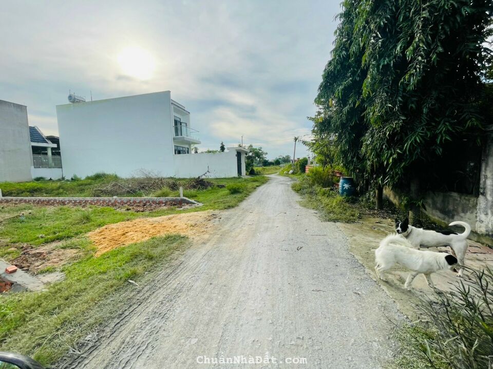 Tôi chính chủ cần bán gấp miếng đất ở Thị trấn Củ Chi , 104m2,full thổ ,SHR ,Giá 1,75 tỷ Tôi chính chủ cần bán gấp miếng đất ở Thị trấn Củ Chi , 104m2,full thổ ,SHR ,Giá 1,75 tỷ