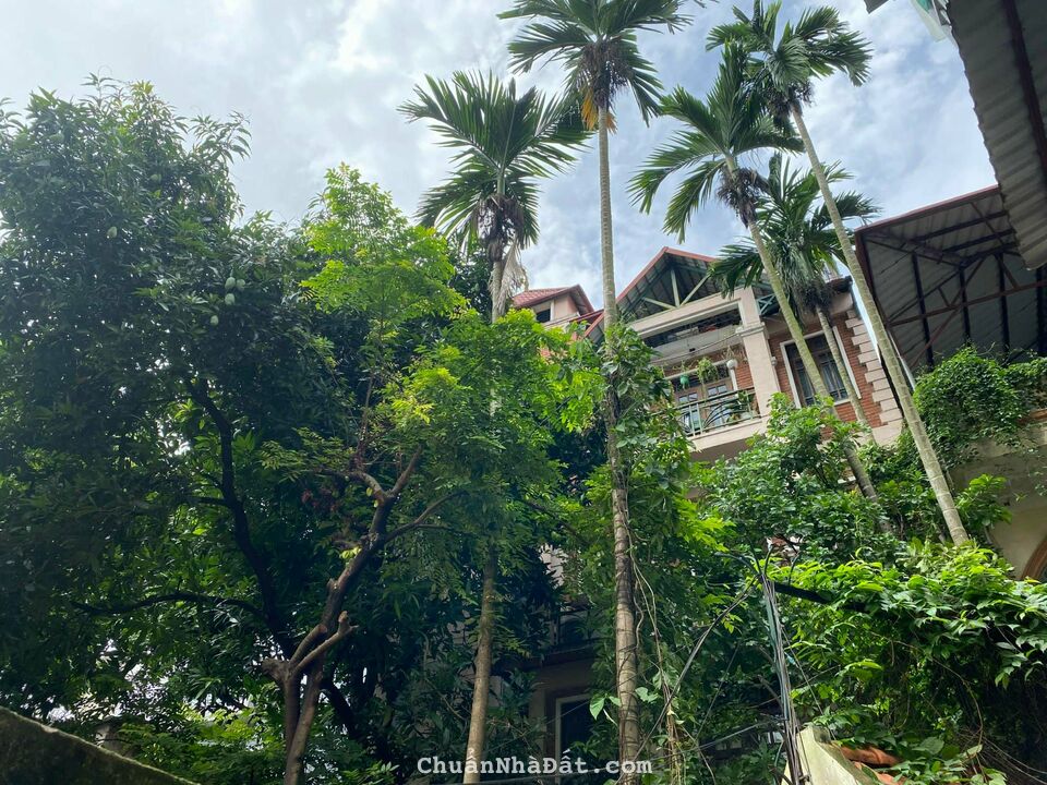 Bán biệt thự ngõ phố Bạch Đằng, Hoàn Kiếm phù hợp làm Homestay