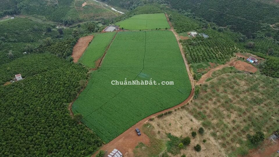 Bán Đất diện Tích Lớn 3hecta , Dành Cho Anh Chị Thích Bỏ Phố Về Rừng