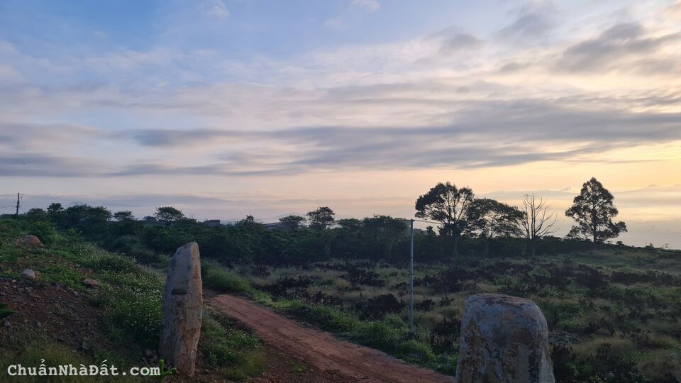 BÁN ĐẤT NGHỈ DƯỠNG VIEW SĂN MÂY, VÙNG VEN ĐÀ LẠT, GIÁ ĐẦU TƯ F0. TÂN VĂN-LÂM HÀ-LÂM ĐỒNG