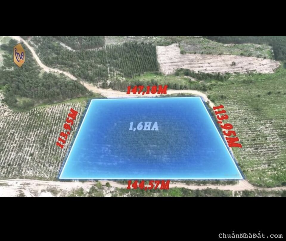 Hót chỉ 1tr/m2 siêu phẩm nằm ngay trục đường nối cao từ cao tốc Băc-Nam đường Tân Minh - Sơn Mỹ c Hót chỉ 1tr/m2 siêu phẩm nằm ngay trục đường nối cao từ cao tốc Băc-Nam đường Tân Minh - Sơn Mỹ c