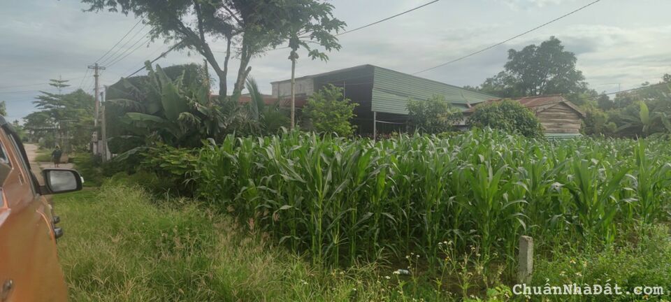 Mt Quang Trung 10x30 Giá 1ty110 Mt Quang Trung 10x30 Giá 1ty110