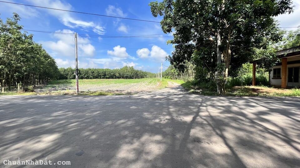 Chủ cần tiền bán gấpSát KCN BECAMEX giai đoạn 1 Minh Thành cách DH01 chỉ 30