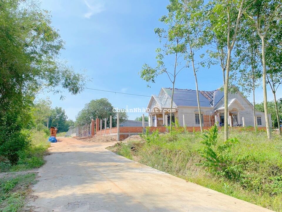 Chủ cần tiền bán gấpSát KCN BECAMEX giai đoạn 1 Minh Thành Chơn Thành Bình Phước 326m² chỉ 820 