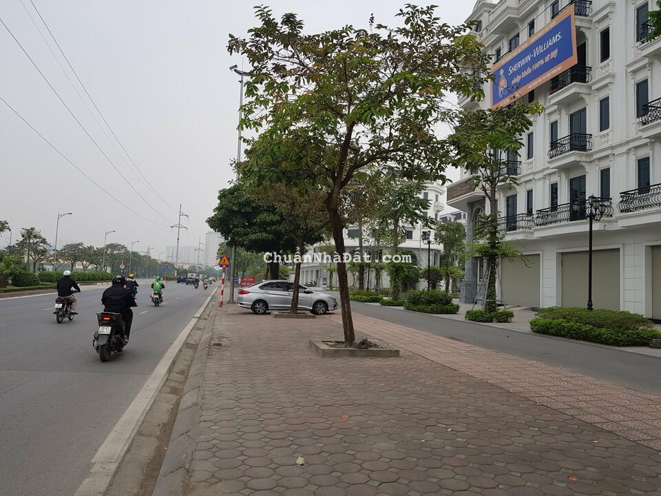 Kiến Hưng Luxury Shophouse Phúc La - Hà Đông 34 tỷ 129.8m2