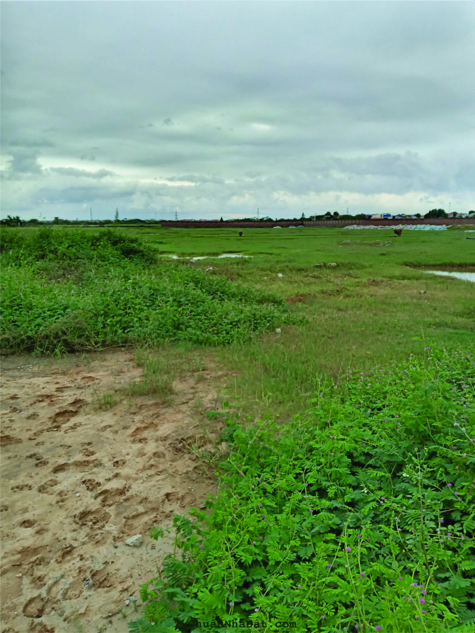 CHUYỂN NHƯỢNG QSD ĐÂTVÀ DỰ ÁN LOGISTIC TẠI MÊ LINH – GIÁ TỐT