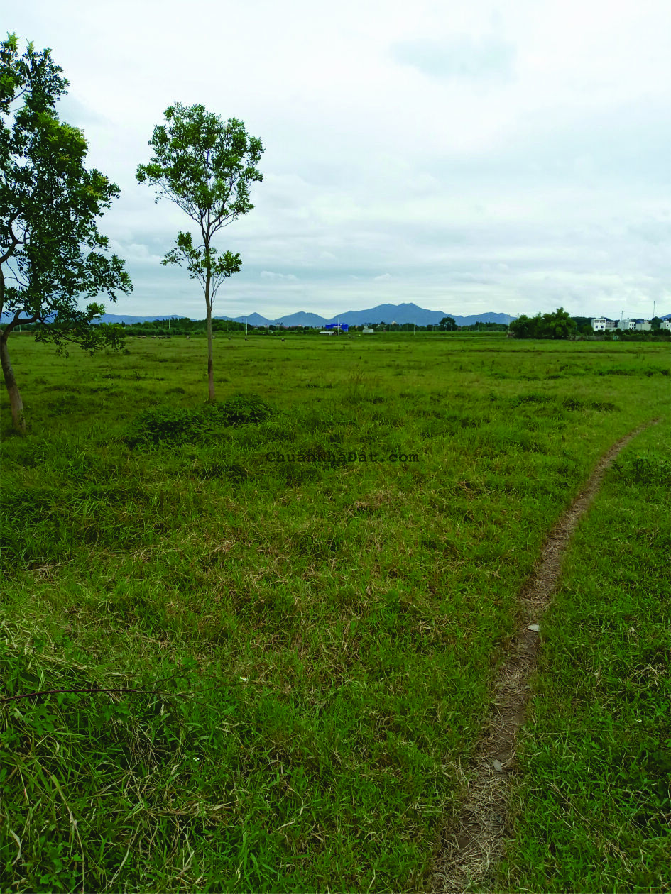 CHUYỂN NHƯỢNG QSD ĐÂTVÀ DỰ ÁN LOGISTIC TẠI MÊ LINH – GIÁ TỐT