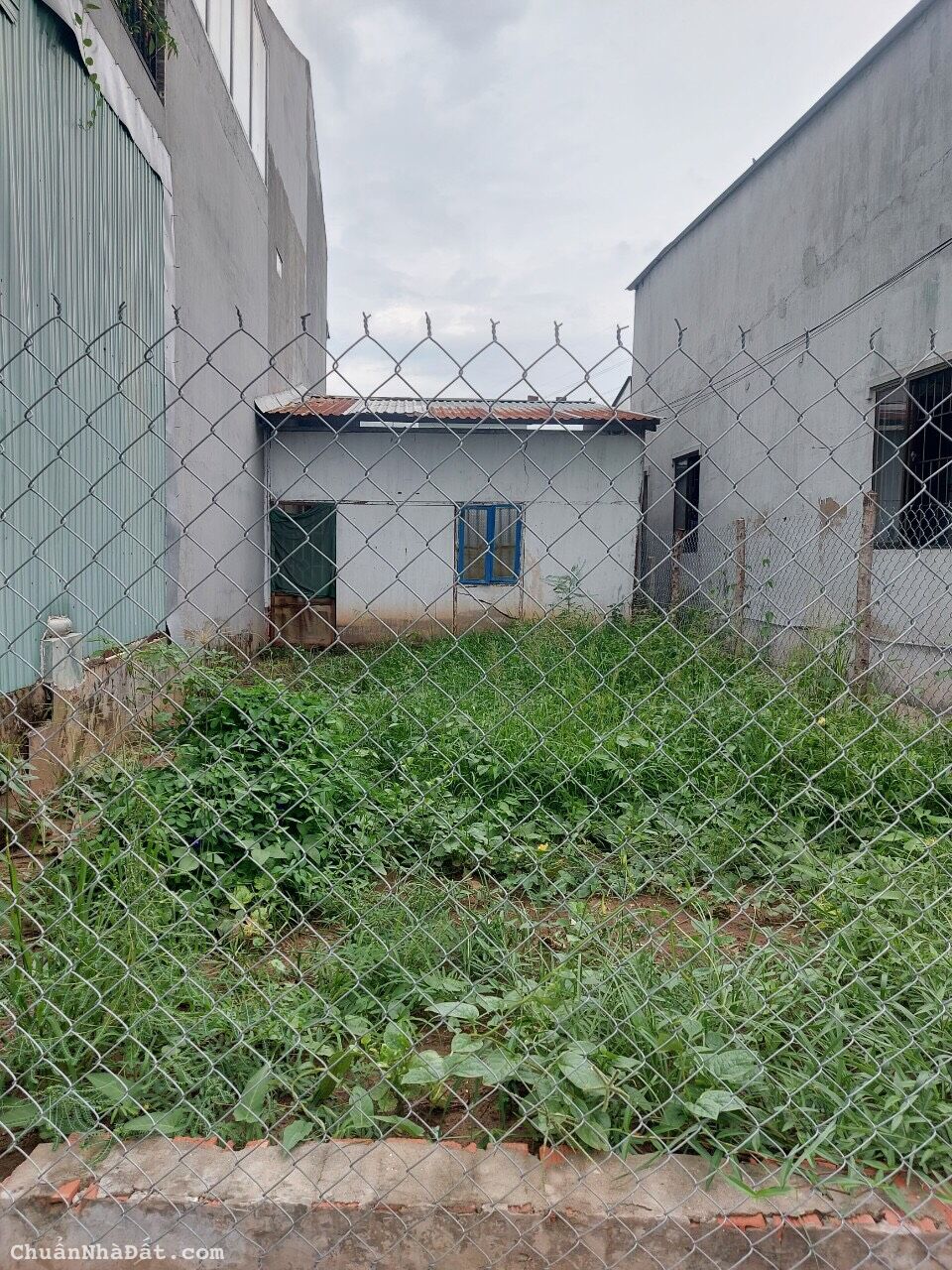 BÁN LÔ ĐẤT HẺM 438 ĐÀO SƯ TÍCH - PHƯỚC LỘC