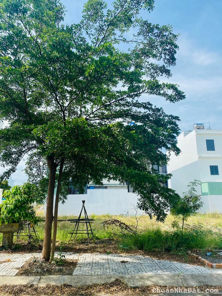 CẦN BÁN NHANH 260M2 THỔ CƯ CHÍNH CHỦ, MT ĐƯỜNG NHỰA 16M GẦN TRƯỜNG HỌC TTTM