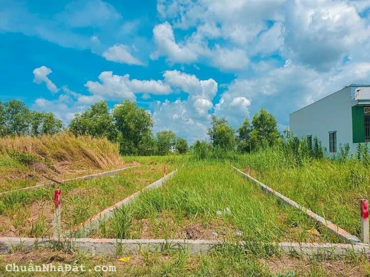 Chủ ngộp quá nên bán miếng đất thổ cách qlo50 chỉ 70m