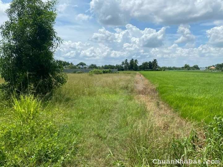 Chủ về quê nên cần bán gấp miếng đất lúa tại mặt tiền TT Cần Giuộc Chủ về quê nên cần bán gấp miếng đất lúa tại mặt tiền TT Cần Giuộc