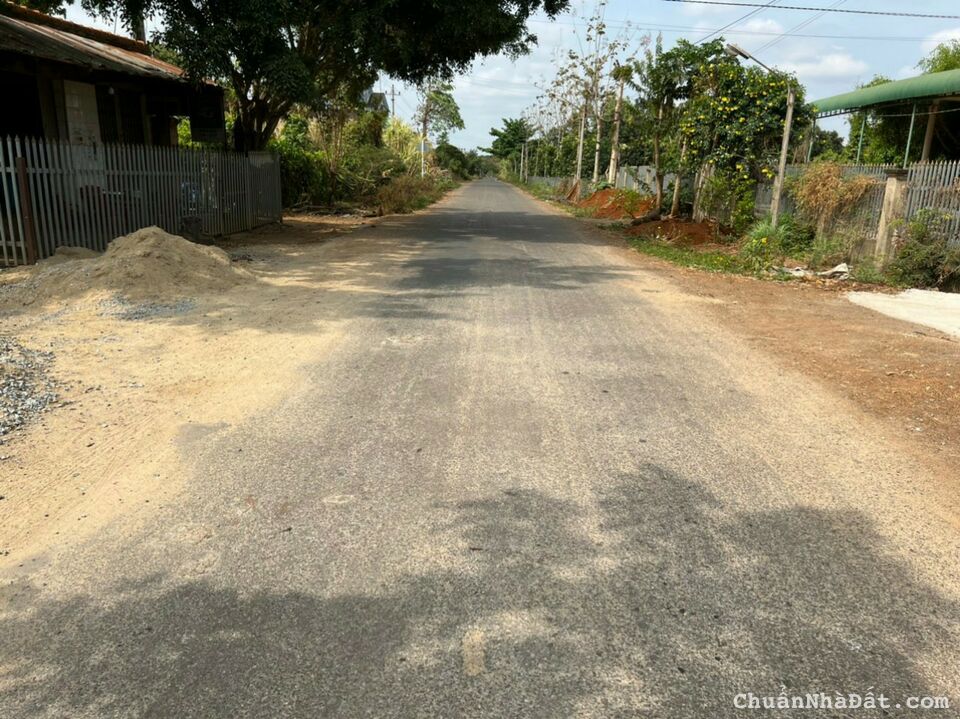 Chính Chủ Bán 600m2 Đất Có Tiêu, Cà Phê. Thổ Cư. Giá 350tr