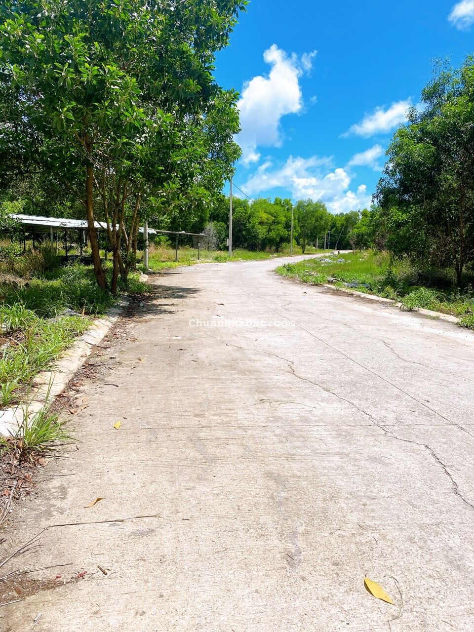 Gía đình để lại lô đất tâm huyết , quy hoạch sạch , sổ hồng riêng , alo 0969891407 xem đất