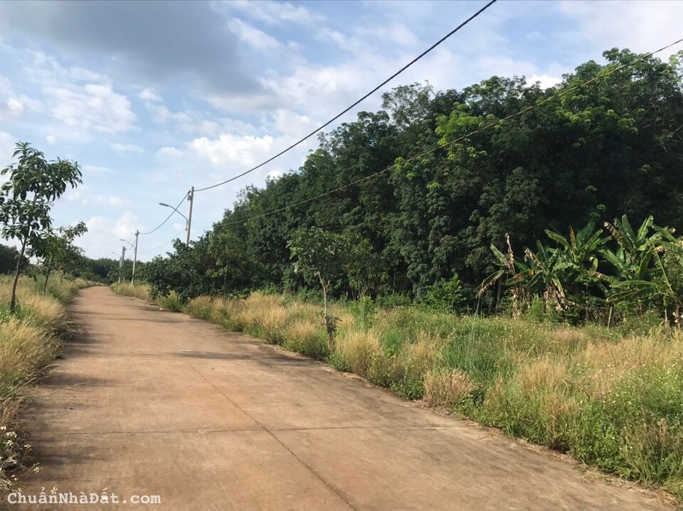 270tr có thể sở hữu ngay lô đất TT thị xã phước long Tiềm năng sinh lời cao SHR