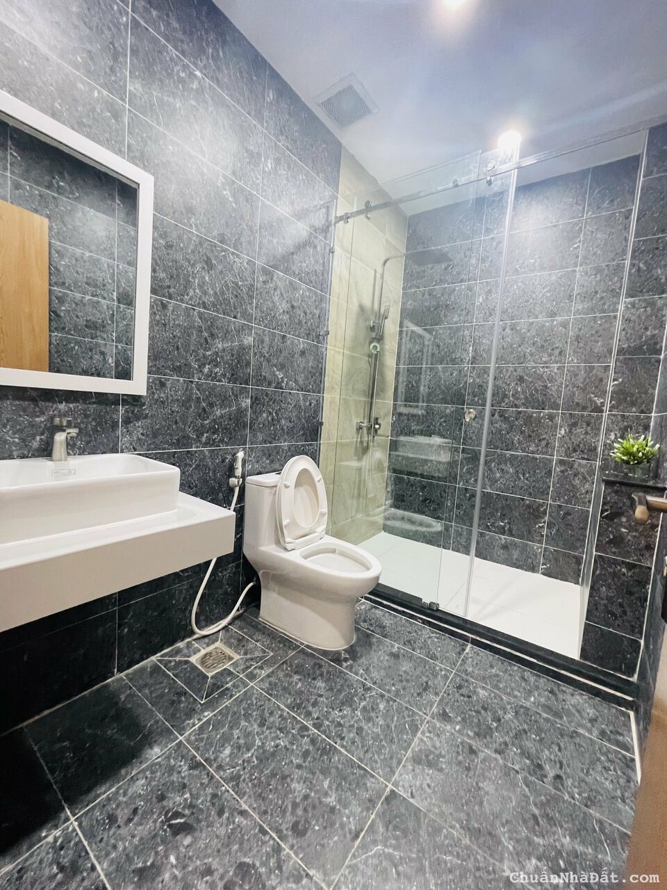 Chỉ từ 1.2 tỷ sở hữu nhà phố thương mại mặt tiền Bùi Thị Xuân-vị trí đắc địa SHR sang tên ngay Chỉ từ 1.2 tỷ sở hữu nhà phố thương mại mặt tiền Bùi Thị Xuân-vị trí đắc địa SHR sang tên ngay