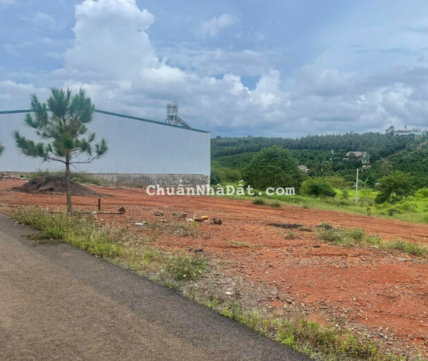 chính chủ gửi bán gấp lô đất Bảo Lộc