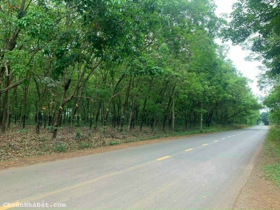 Bán đất TX Phước Long, 82m thổ cư ,giá cả phải chăng