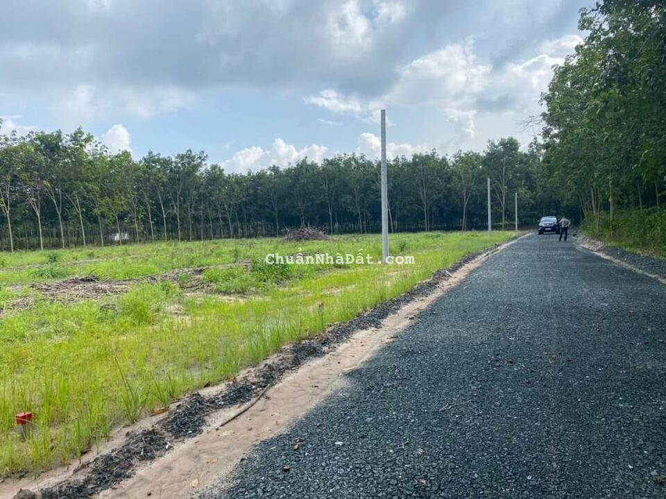 Siêu phẩm lô đất nền tại trung tâm TX Phước Long ,ngay DMX ,sổ hồng riêng.