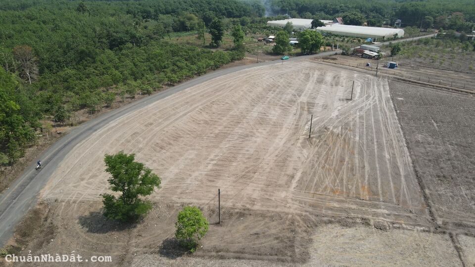 Bán đất lộc khánh giá rẻ 300tr cho khách mới tham gia đầu tư