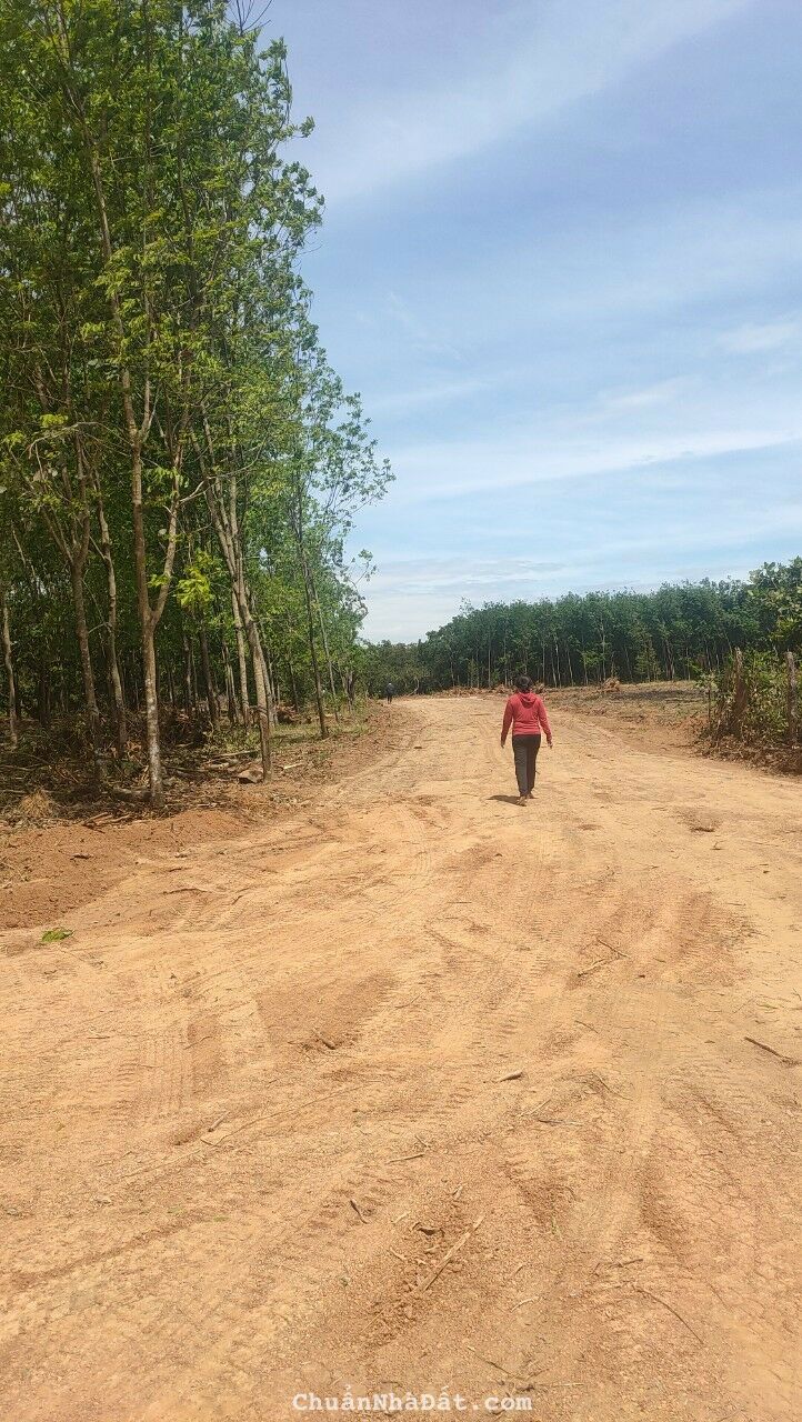 THUẬN LỢI GIÁ RẺ NHẤT THỊ TRƯỜNG THUẬN LỢI GIÁ RẺ NHẤT THỊ TRƯỜNG