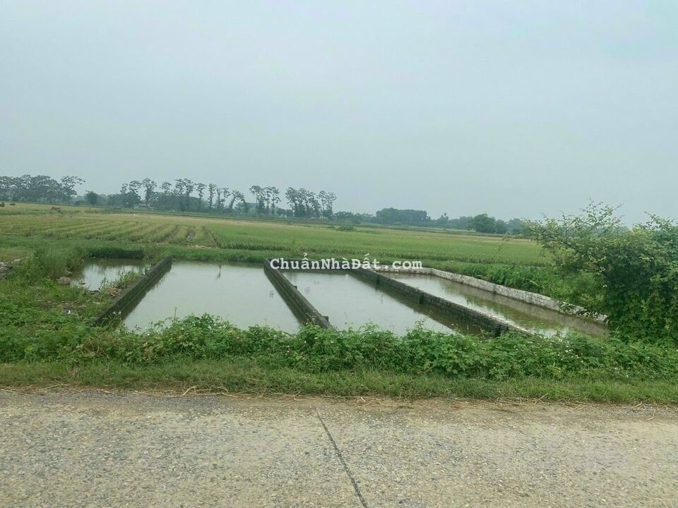 Bán đất mặt đường liên xã Hoàng văn thụ 100m ful thổ cư xã Hoàng văn thụ- Chương Mỹ- Hà Nội 