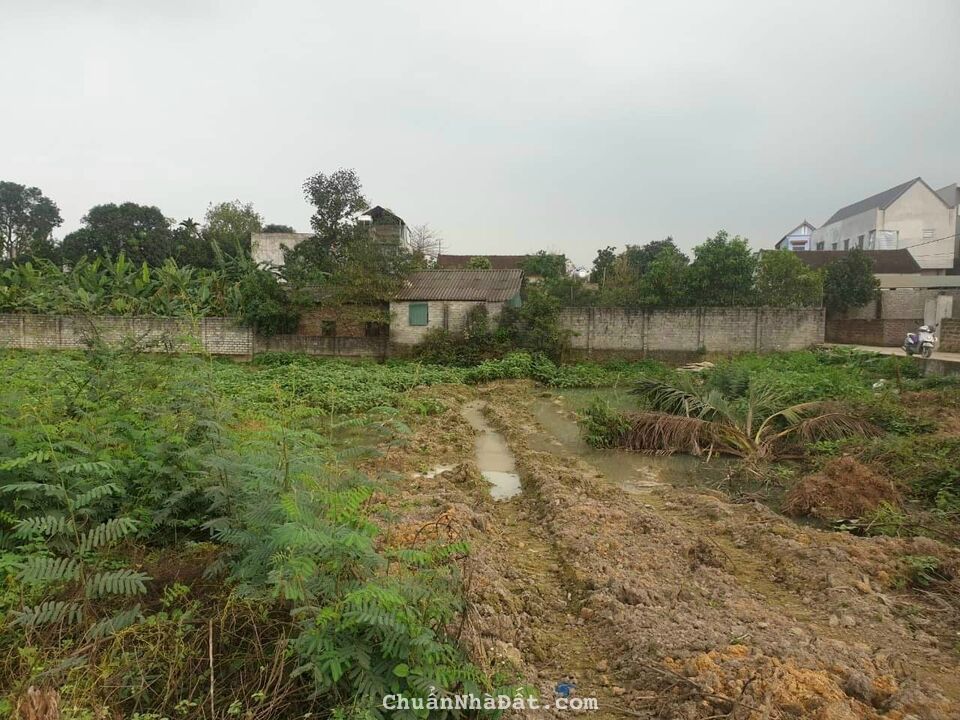 Chủ cần tiền bán nhanh lô đất 1700m. Vị trí xã Mỹ lương- Chương Mỹ- Hà Nội 