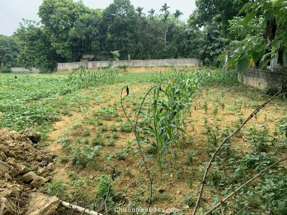 Bán đất nghỉ dưỡng 1469m. Có 300m đất ở. Vị trí xã nam phương tiến- Chương Mỹ- Hà Nội Bán đất nghỉ dưỡng 1469m. Có 300m đất ở. Vị trí xã nam phương tiến- Chương Mỹ- Hà Nội