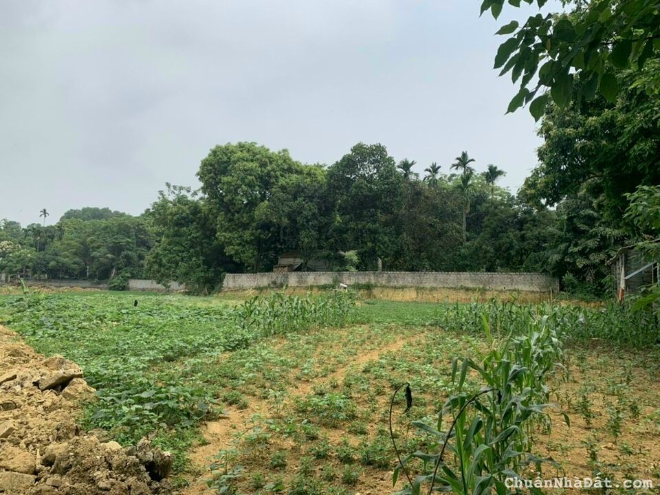 Bán đất nghỉ dưỡng 1469m. Có 300m đất ở. Vị trí xã nam phương tiến- Chương Mỹ- Hà Nội Bán đất nghỉ dưỡng 1469m. Có 300m đất ở. Vị trí xã nam phương tiến- Chương Mỹ- Hà Nội