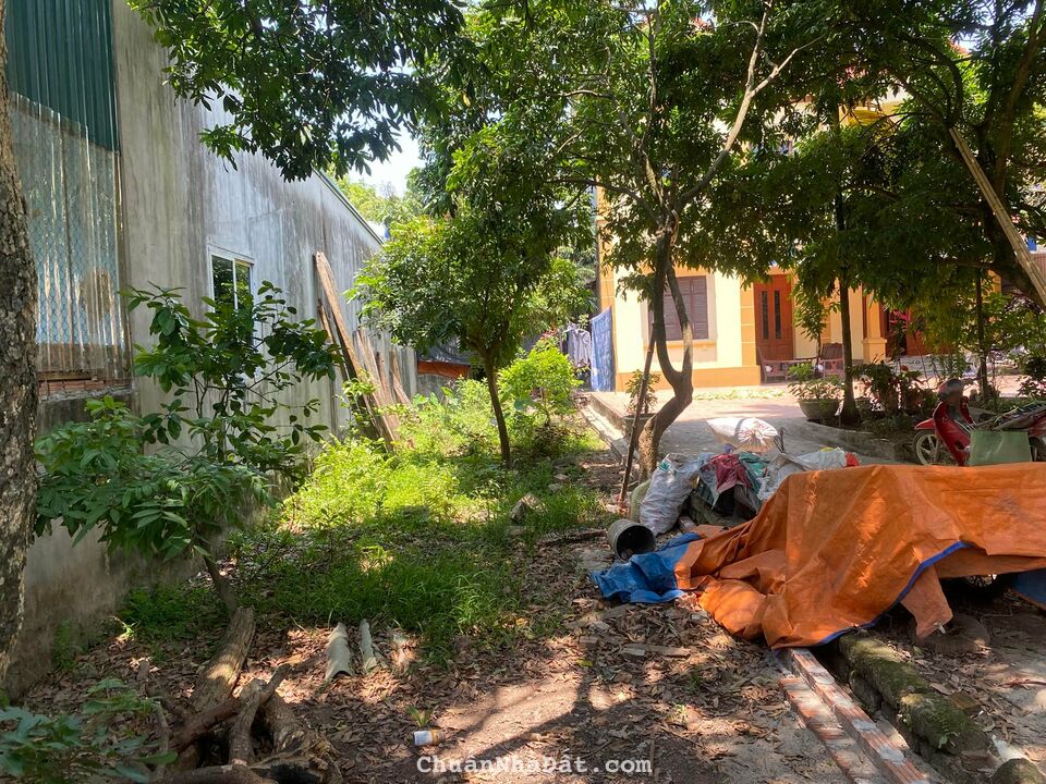 Đất Phượng nghĩa Phụng Châu Đất Phượng nghĩa Phụng Châu