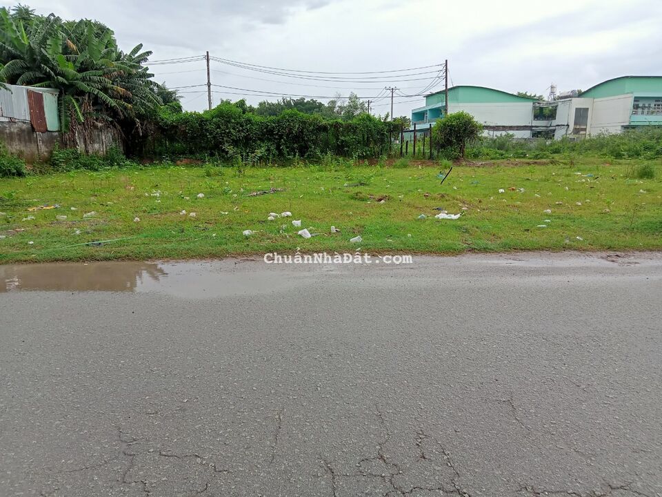 Đất vàng sinh lời nhanh ngay đường Đinh Đức Thiện, Bình Chánh, gần chợ Bình Chánh