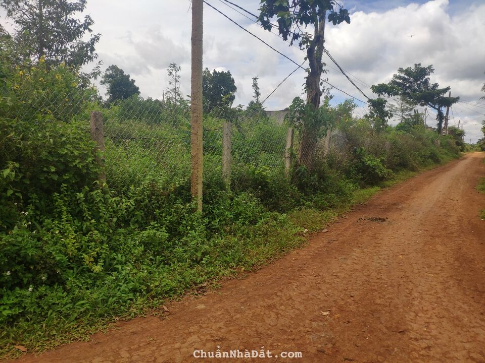 Cần bán gấp đất nền giá cực rẻ tại Đak Lak Cần bán gấp đất nền giá cực rẻ tại Đak Lak