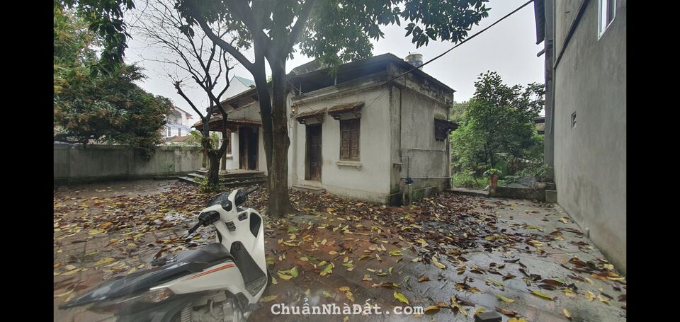  Gấp Gấp chủ tránh mặt người yêu cũ nên nhờ bán mảnh 236m2 tại Lỗ Khê xã Liên Hà, Đông Anh, Hà Nội