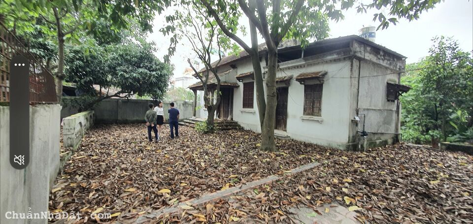  Gấp Gấp chủ tránh mặt người yêu cũ nên nhờ bán mảnh 236m2 tại Lỗ Khê xã Liên Hà, Đông Anh, Hà Nội