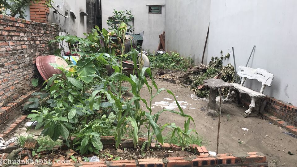 Chính chủ nhờ bán lô đất 62.8m2 tại Lễ Pháp Tiên Dương Đông Anh HN