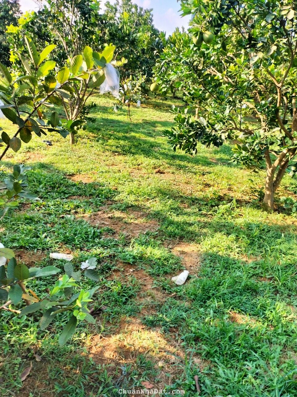 ĐẤT ĐẸP CHÍNH CHỦ TẠI LẠC THỦY HÒA BÌNH