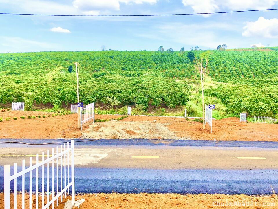 Đất nền biệt thự 7x26-181m2 có thổ cư sổ riêng sổ sẵn công chứng ngay chỉ 940tr