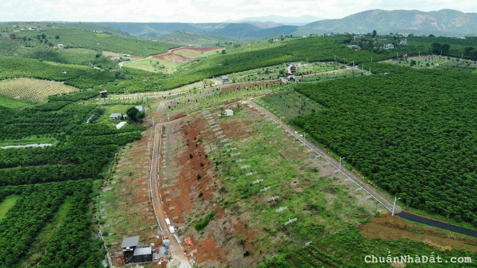 Đất nền biệt thự 7x26-181m2 có thổ cư sổ riêng sổ sẵn công chứng ngay chỉ 940tr