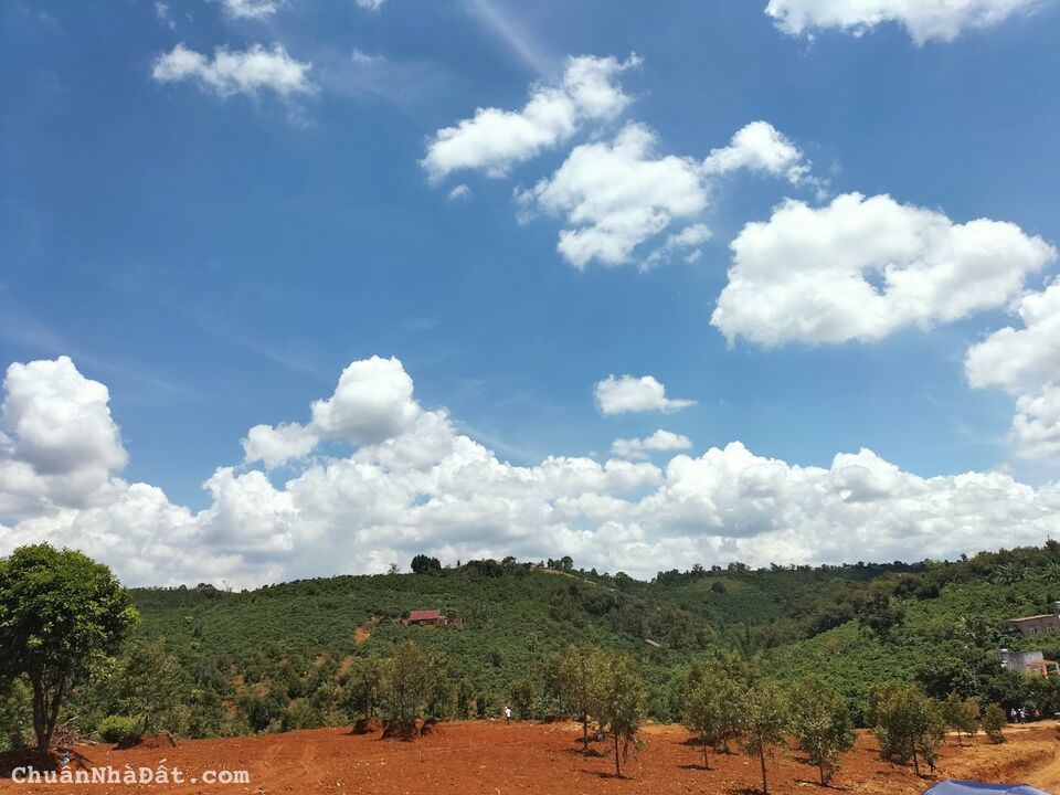 Đất Tân Lạc ngay trung tâm hành chính xã khu dân cư hiện hữu 5,5x40-216,5m2 100m2 thổ chỉ 1,25 tỷ