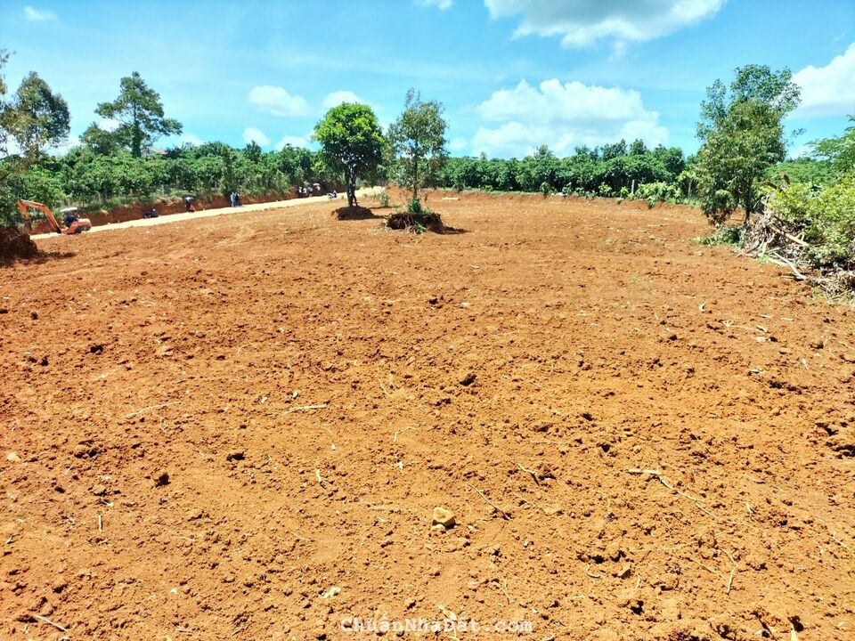 Đất Tân Lạc ngay trung tâm hành chính xã khu dân cư hiện hữu 5,5x40-216,5m2 100m2 thổ chỉ 1,25 tỷ