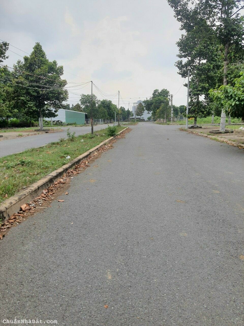  Đất nền đường số 1 , KDC Đại Dương , phường 6, Tp Tân An, Long An