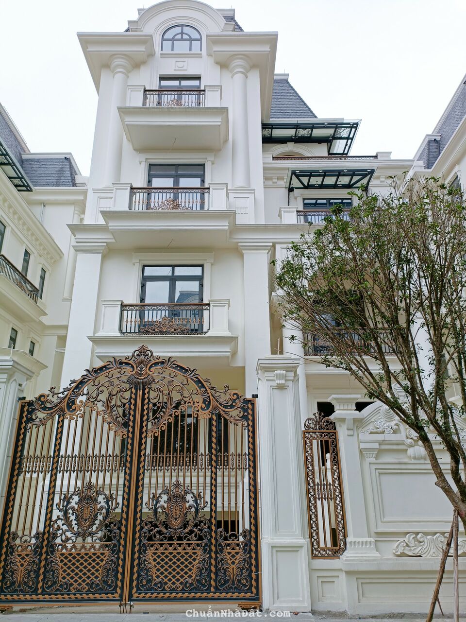 Biệt thự đơn lập đẳng cấp nhất khu vực Mỹ Đình, gần Vin Gardenia 